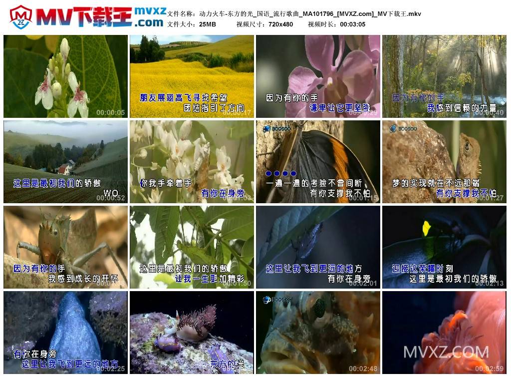 动力火车-东方的光_国语_流行歌曲_MA101796